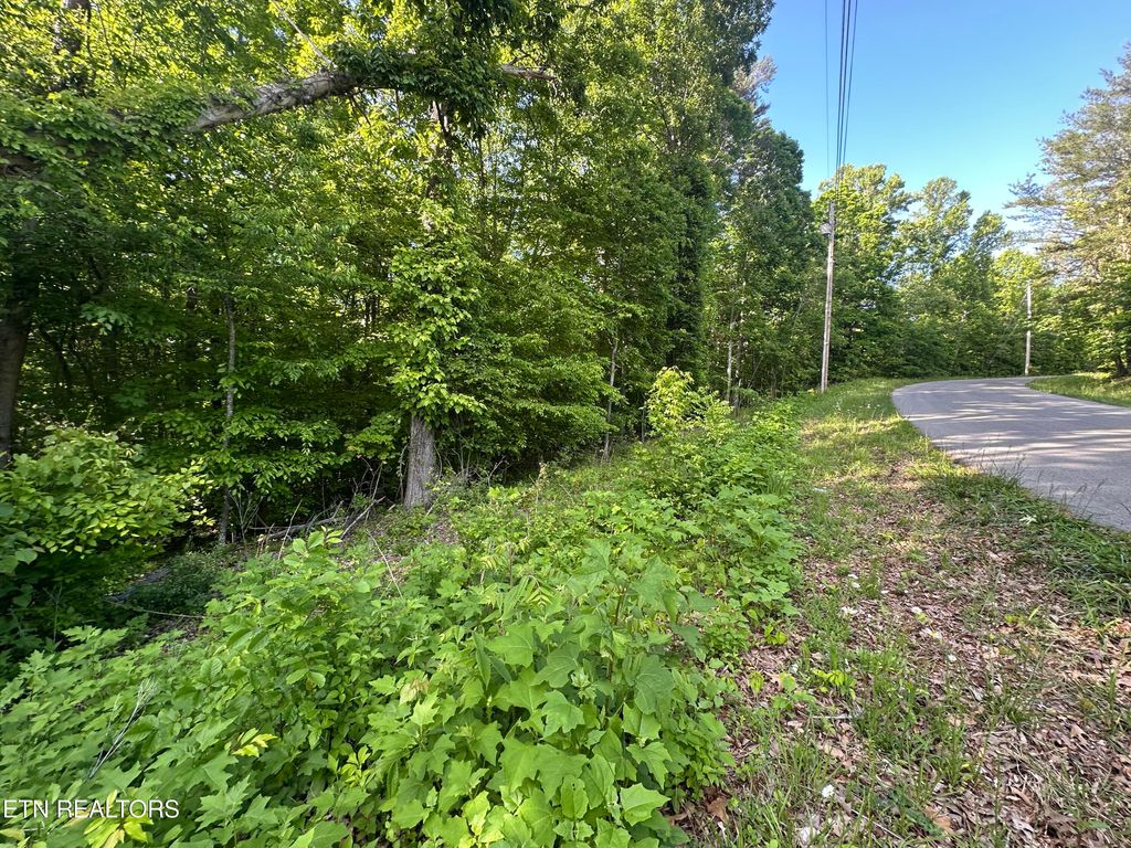 Photo of Pine Hollow Rd, Jacksboro, TN 37757 (MLS # 1340197)