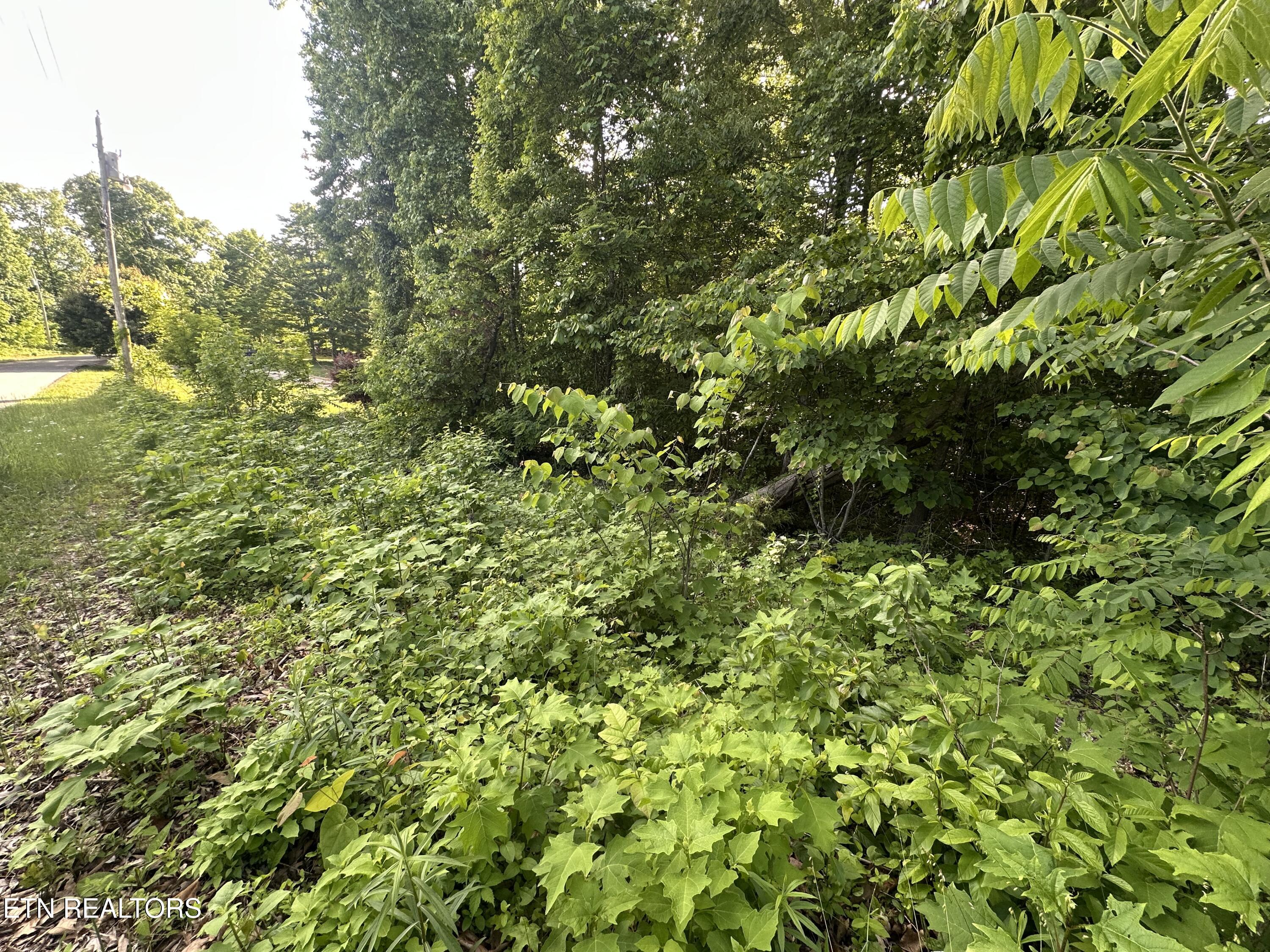 Pine Hollow Rd