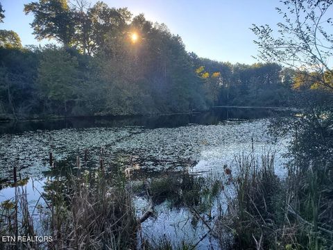 Tiny photo for 2036 Helenwood Detour Rd, Helenwood, TN 37755 (MLS # 1319385)