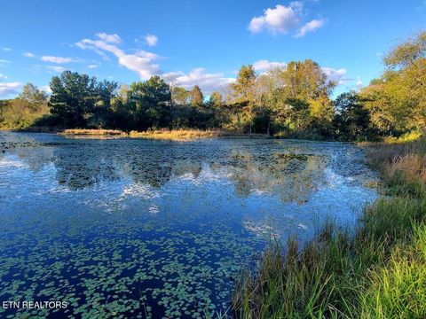 Tiny photo for 2036 Helenwood Detour Rd, Helenwood, TN 37755 (MLS # 1319385)
