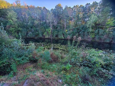 Tiny photo for 2036 Helenwood Detour Rd, Helenwood, TN 37755 (MLS # 1319385)