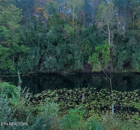 Tiny photo for 2036 Helenwood Detour Rd, Helenwood, TN 37755 (MLS # 1319385)