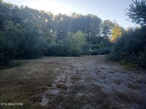 Tiny photo for 2036 Helenwood Detour Rd, Helenwood, TN 37755 (MLS # 1319385)