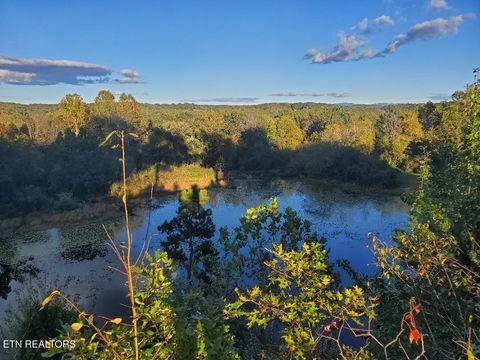 Tiny photo for 2036 Helenwood Detour Rd, Helenwood, TN 37755 (MLS # 1319385)