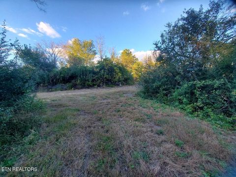 Tiny photo for 2036 Helenwood Detour Rd, Helenwood, TN 37755 (MLS # 1319385)