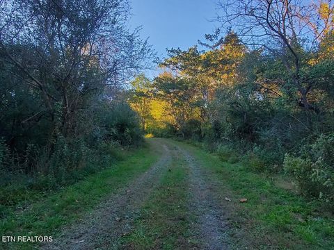 Tiny photo for 2036 Helenwood Detour Rd, Helenwood, TN 37755 (MLS # 1319385)