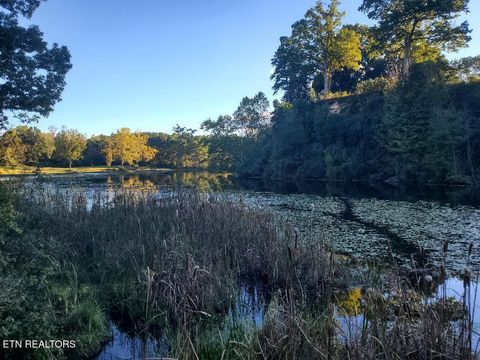 Tiny photo for 2036 Helenwood Detour Rd, Helenwood, TN 37755 (MLS # 1319385)