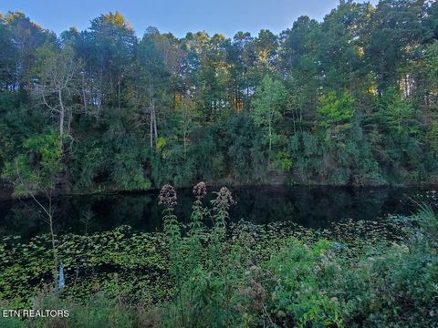 Tiny photo for 2036 Helenwood Detour Rd, Helenwood, TN 37755 (MLS # 1319385)