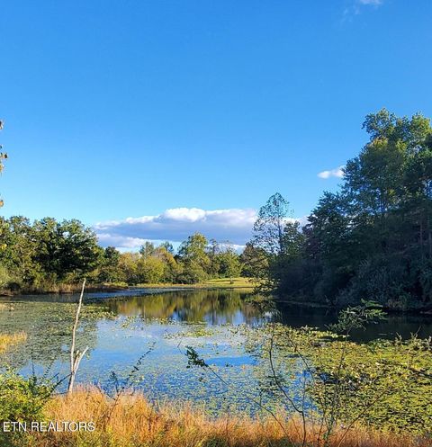 Tiny photo for 2036 Helenwood Detour Rd, Helenwood, TN 37755 (MLS # 1319385)