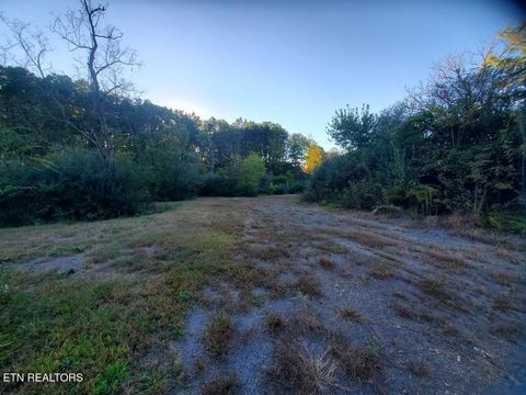 Tiny photo for 2036 Helenwood Detour Rd, Helenwood, TN 37755 (MLS # 1319385)