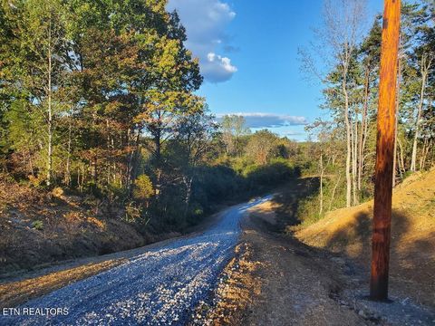 Tiny photo for 2036 Helenwood Detour Rd, Helenwood, TN 37755 (MLS # 1319385)