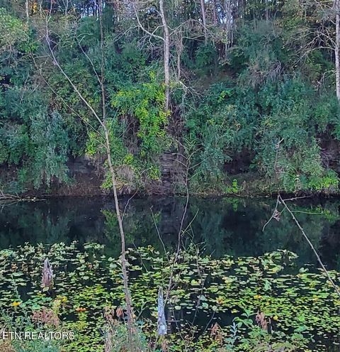 Tiny photo for 2036 Helenwood Detour Rd, Helenwood, TN 37755 (MLS # 1319385)