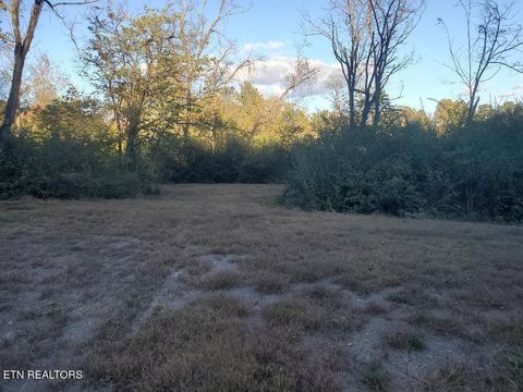 Tiny photo for 2036 Helenwood Detour Rd, Helenwood, TN 37755 (MLS # 1319385)