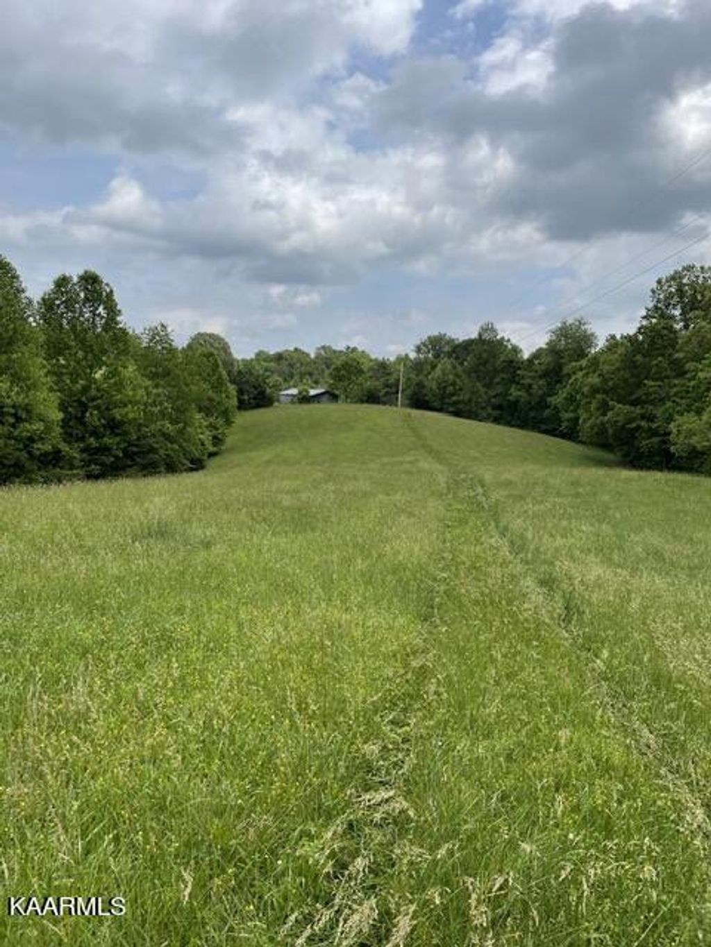 Photo of 444 Tilmon West Lane, New Tazewell, TN 37825 (MLS # 1227312)