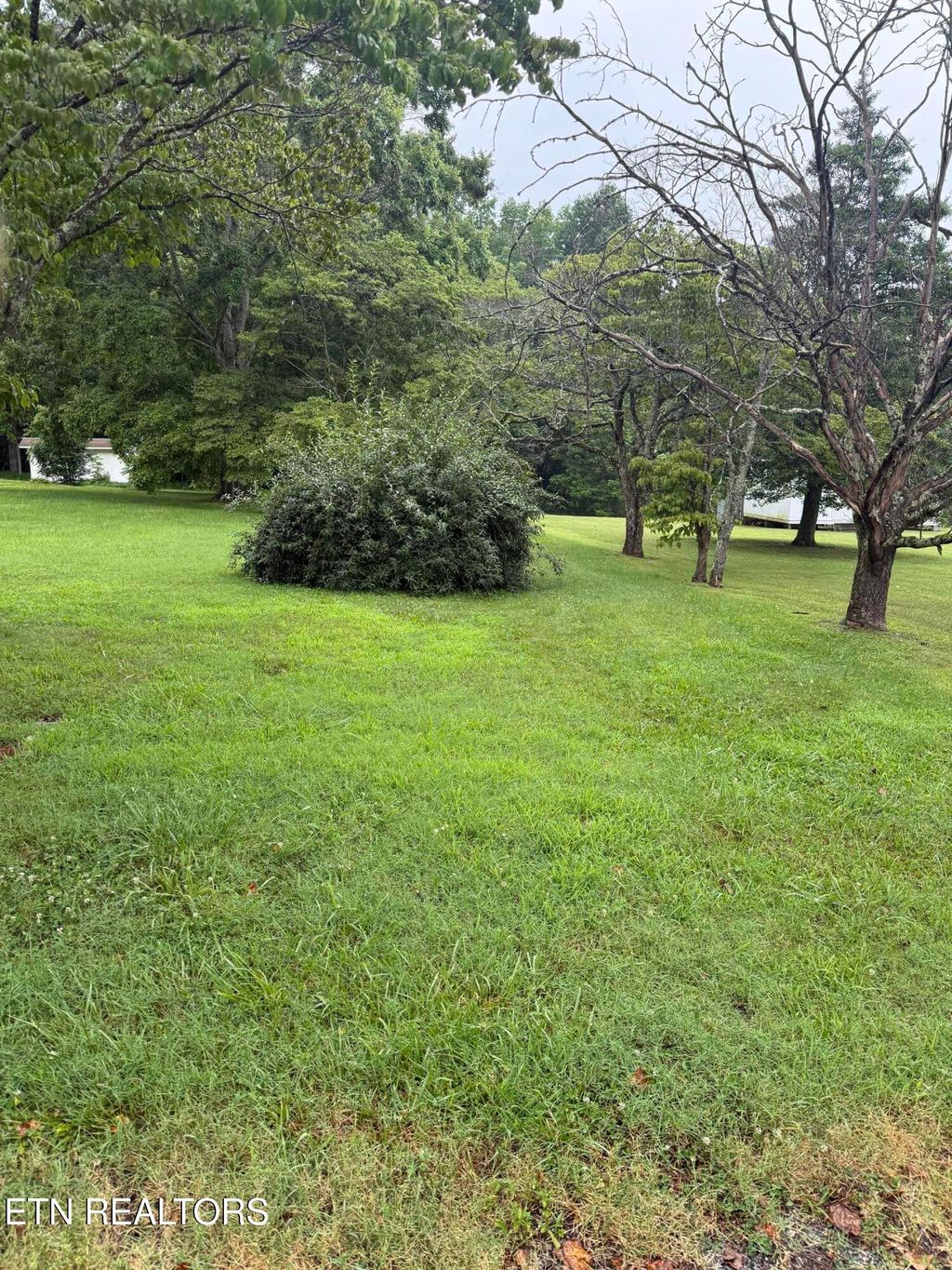 Photo of 122 Hill Drive, Harriman, TN 37748 (MLS # 1311714)