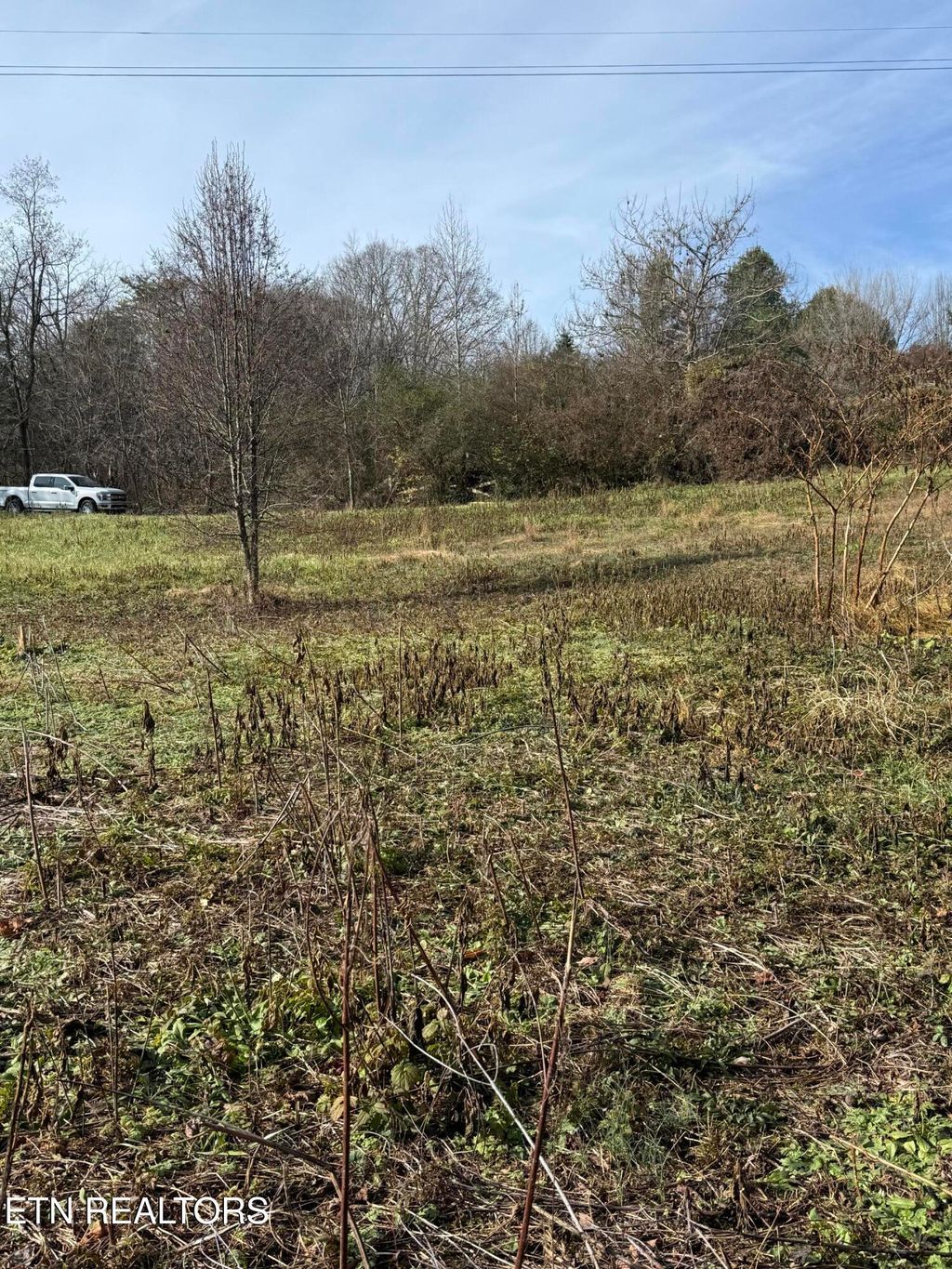 Photo of 132 Sunset hills Lane, New Tazewell, TN 37825 (MLS # 1325599)