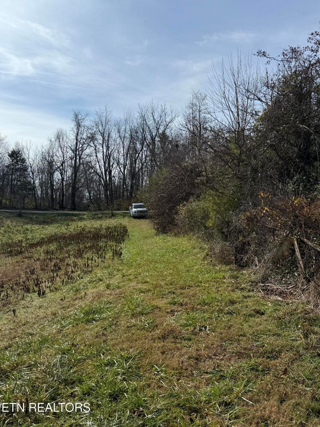 Photo of 132 Sunset hills Lane, New Tazewell, TN 37825 (MLS # 1325599)