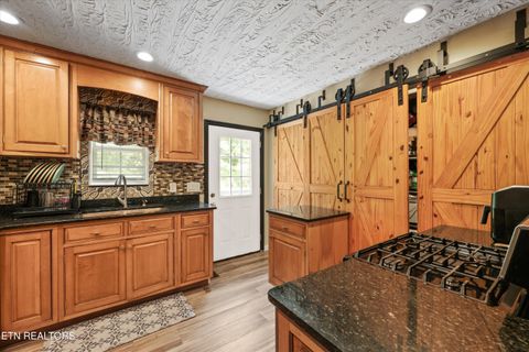Tiny photo for 2654 Redman Ridge Lane, Decatur, TN 37322 (MLS # 1339851)