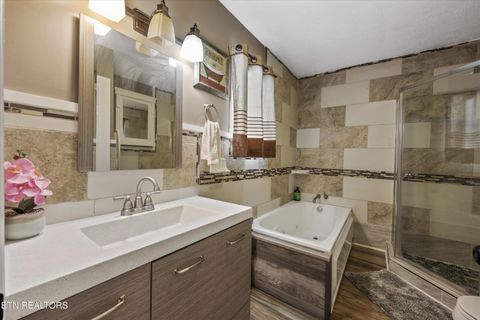 Tiny photo for 2654 Redman Ridge Lane, Decatur, TN 37322 (MLS # 1339851)