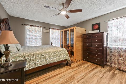 Tiny photo for 2654 Redman Ridge Lane, Decatur, TN 37322 (MLS # 1339851)