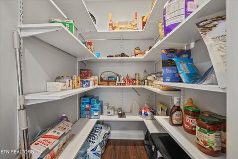 Tiny photo for 123 Itawa Tr, Vonore, TN 37885 (MLS # 1335891)