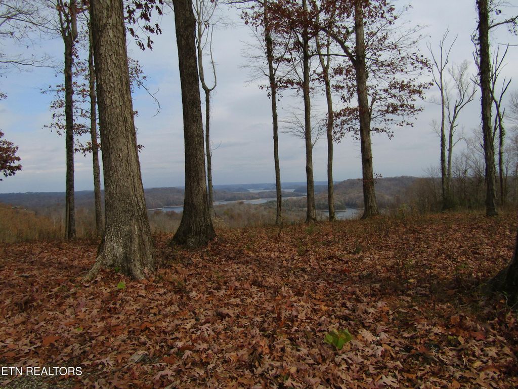 Photo of 27 E Rockfish Rd, Hilham, TN 38568 (MLS # 1323611)