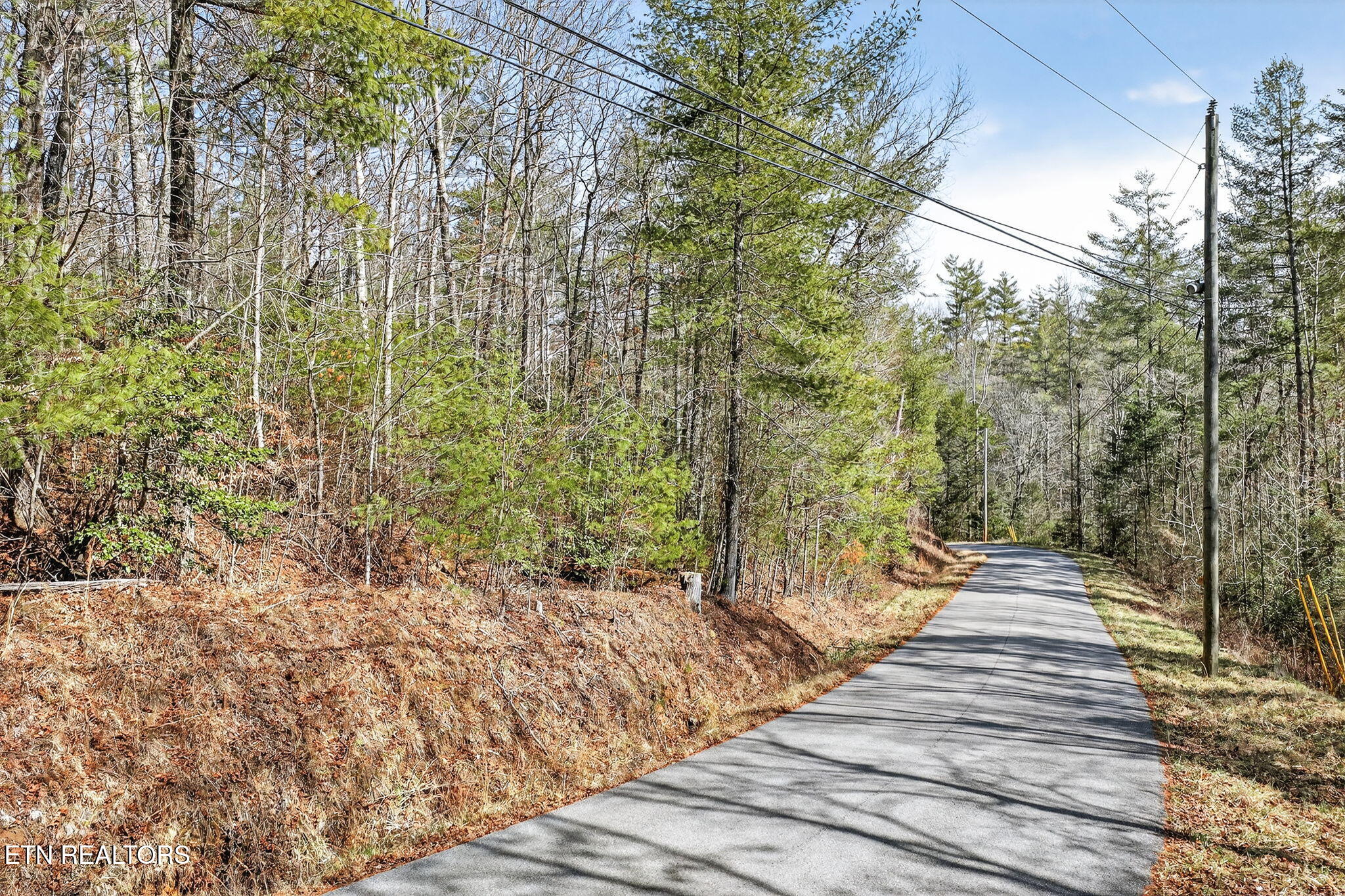 60.6 Acres Dogwood Rd
