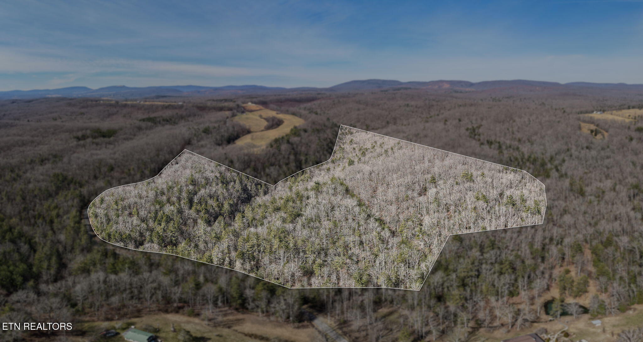 Dogwood Rd