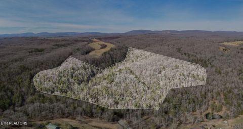 Dogwood Rd Grandview TN 37337