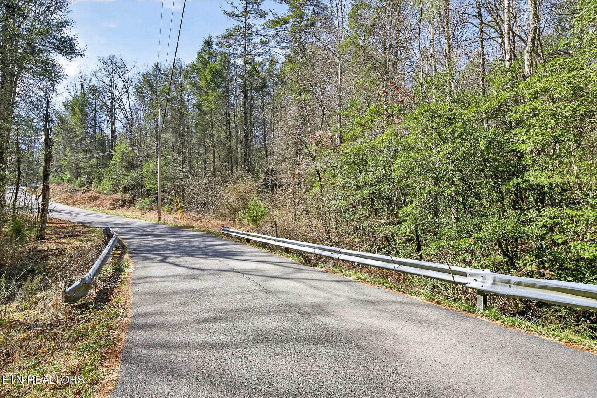 60.6 Acres Dogwood Rd