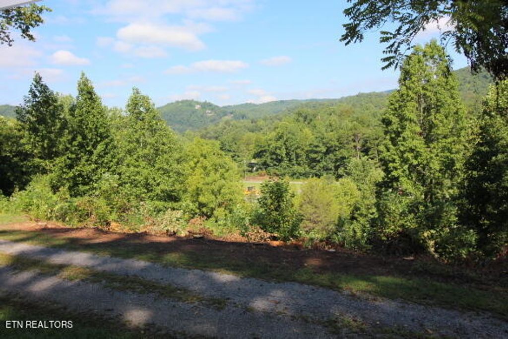 Photo of 7732 Cedar Creek Rd, Townsend, TN 37882 (MLS # 1238397)