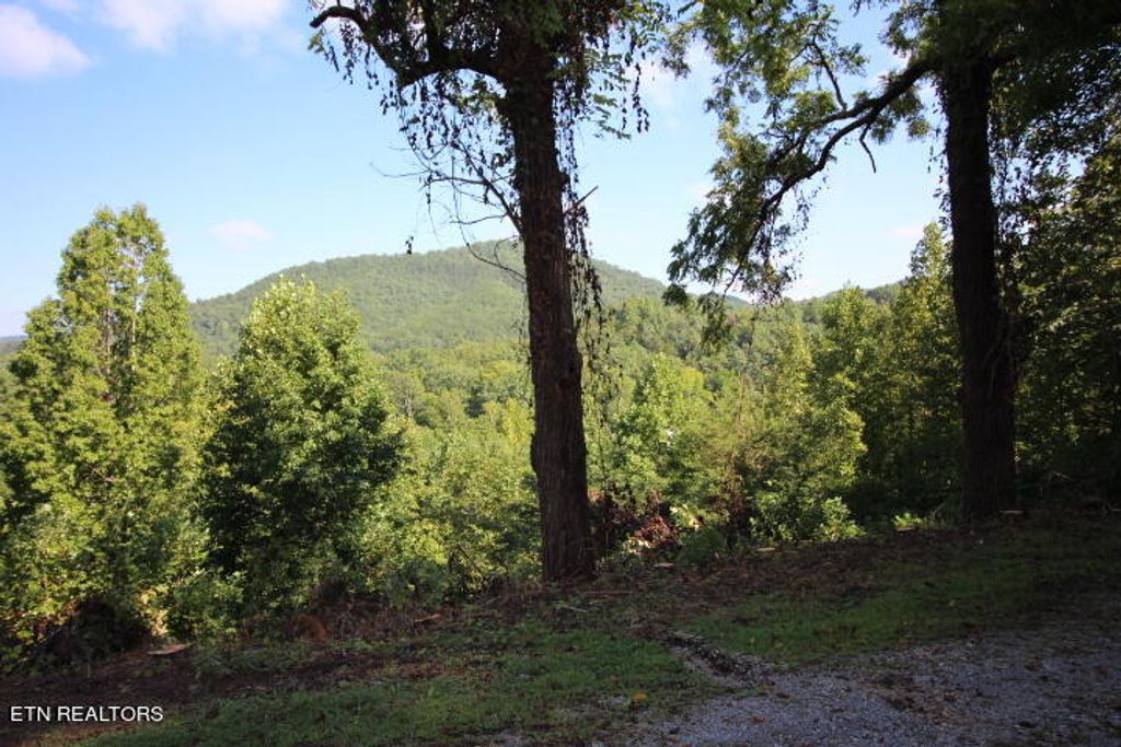 Photo of 7732 Cedar Creek Rd, Townsend, TN 37882 (MLS # 1238397)