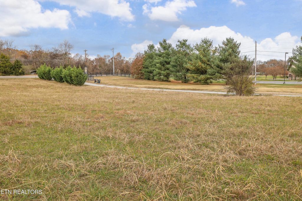 Photo of 3022 Cecil Hatcher Drive, Louisville, TN 37777 (MLS # 1246363)