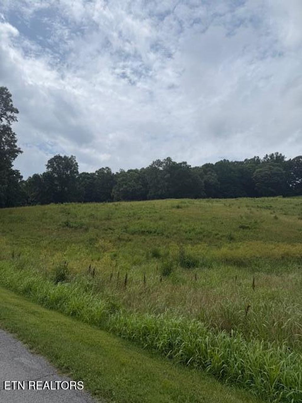 Photo of S Ridge Crest Rd, Luttrell, TN 37779 (MLS # 1346310)