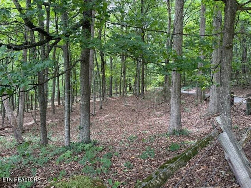Photo of S Ridge Crest Rd, Luttrell, TN 37779 (MLS # 1346310)
