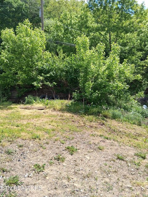 Tiny photo for 1732 Branam Hill Rd, Jellico, TN 37762 (MLS # 1338068)