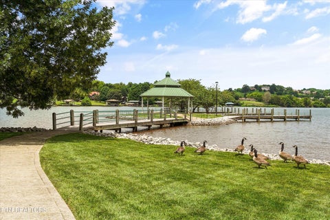 Tiny photo for 12023 Mallard Bay Drive, Knoxville, TN 37922 (MLS # 1345379)