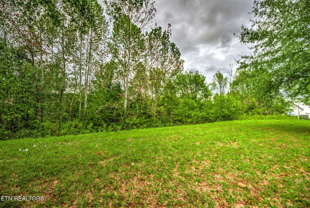 Photo of 154 Pineberry East Rd #165, Oak Ridge, TN 37830 (MLS # 1304610)