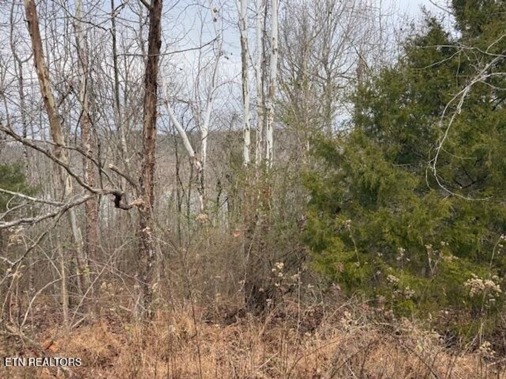 Photo of 154 Pineberry East Rd #165, Oak Ridge, TN 37830 (MLS # 1304610)