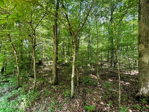 Tiny photo for 1 HIghway 304, Ten Mile, TN 37880 (MLS # 1327550)