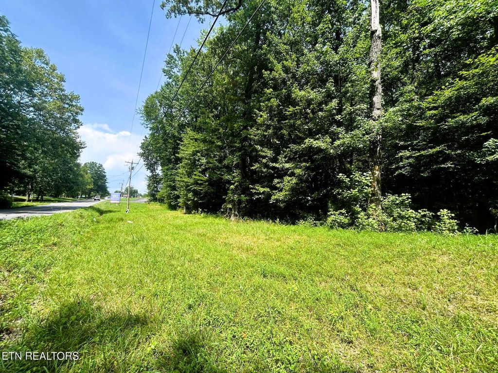Photo of 1 HIghway 304, Ten Mile, TN 37880 (MLS # 1327550)