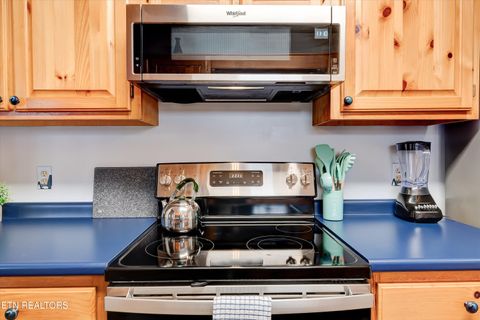 Tiny photo for 1001 Sunrise Blvd, Sevierville, TN 37862 (MLS # 1317674)
