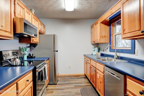 Tiny photo for 1001 Sunrise Blvd, Sevierville, TN 37862 (MLS # 1317674)