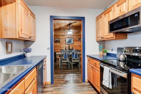 Tiny photo for 1001 Sunrise Blvd, Sevierville, TN 37862 (MLS # 1317674)