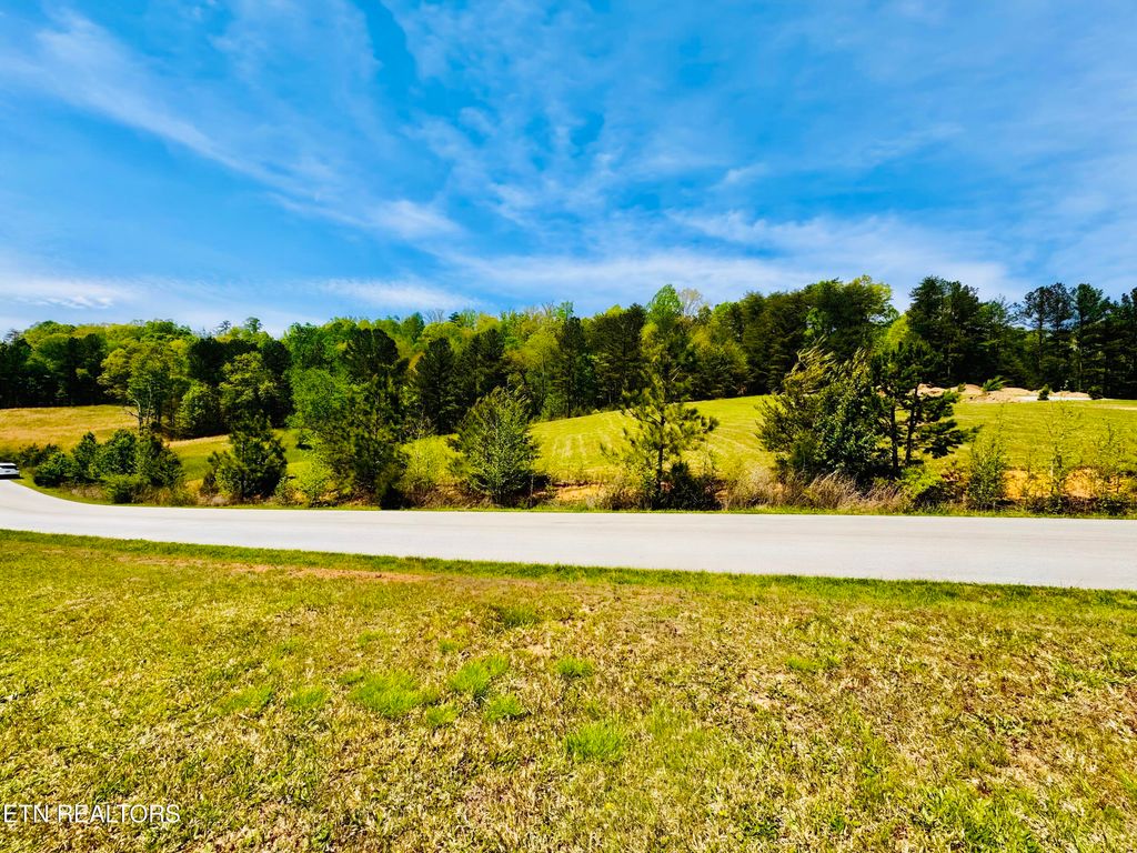 Photo of 333 Enclave Way, Kingston, TN 37763 (MLS # 1298195)