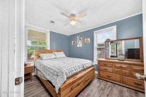 Tiny photo for 491 Piccadilly Ave, Spring City, TN 37381 (MLS # 1345774)