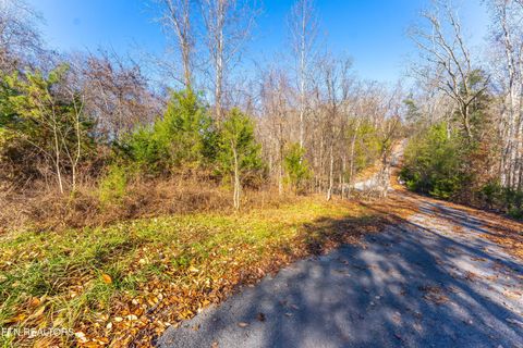 Tiny photo for 919 Sparrow Way, Sharps Chapel, TN 37866 (MLS # 1323375)