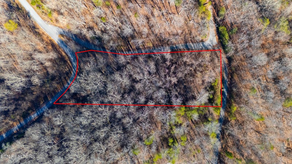 Photo of 919 Sparrow Way, Sharps Chapel, TN 37866 (MLS # 1323375)