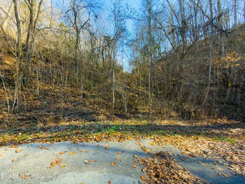 Tiny photo for 919 Sparrow Way, Sharps Chapel, TN 37866 (MLS # 1323375)