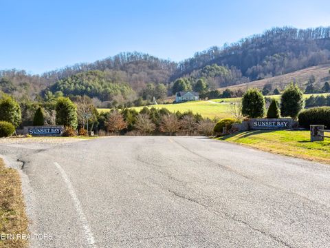 Tiny photo for 919 Sparrow Way, Sharps Chapel, TN 37866 (MLS # 1323375)